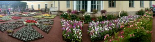 Счастливая Аркадия, придуманная флористами в Павловском парке